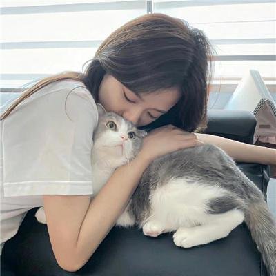 绝望主妇第二季